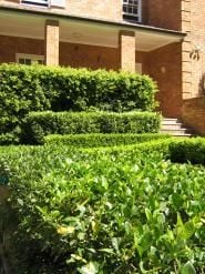 Wahroonga Projects Image -54dc06c23ecba